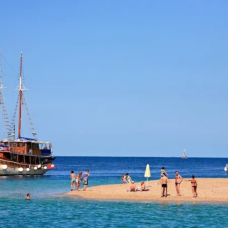 Zlatni Bol